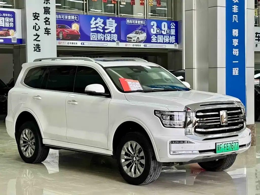 Tank 500 New Energy 2024 из CN, фото 7