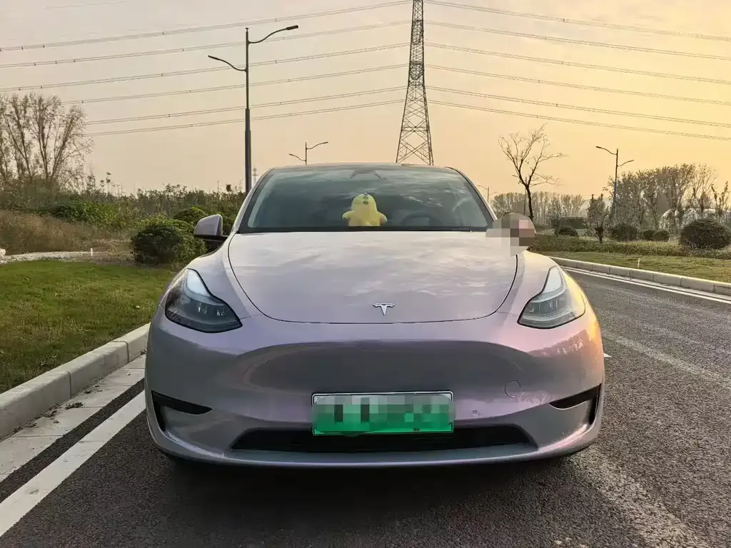 Tesla Model Y — фото 2