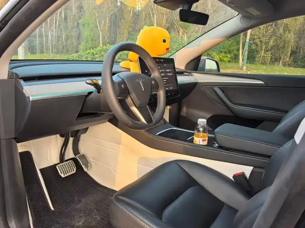 Tesla Model Y — фото 3