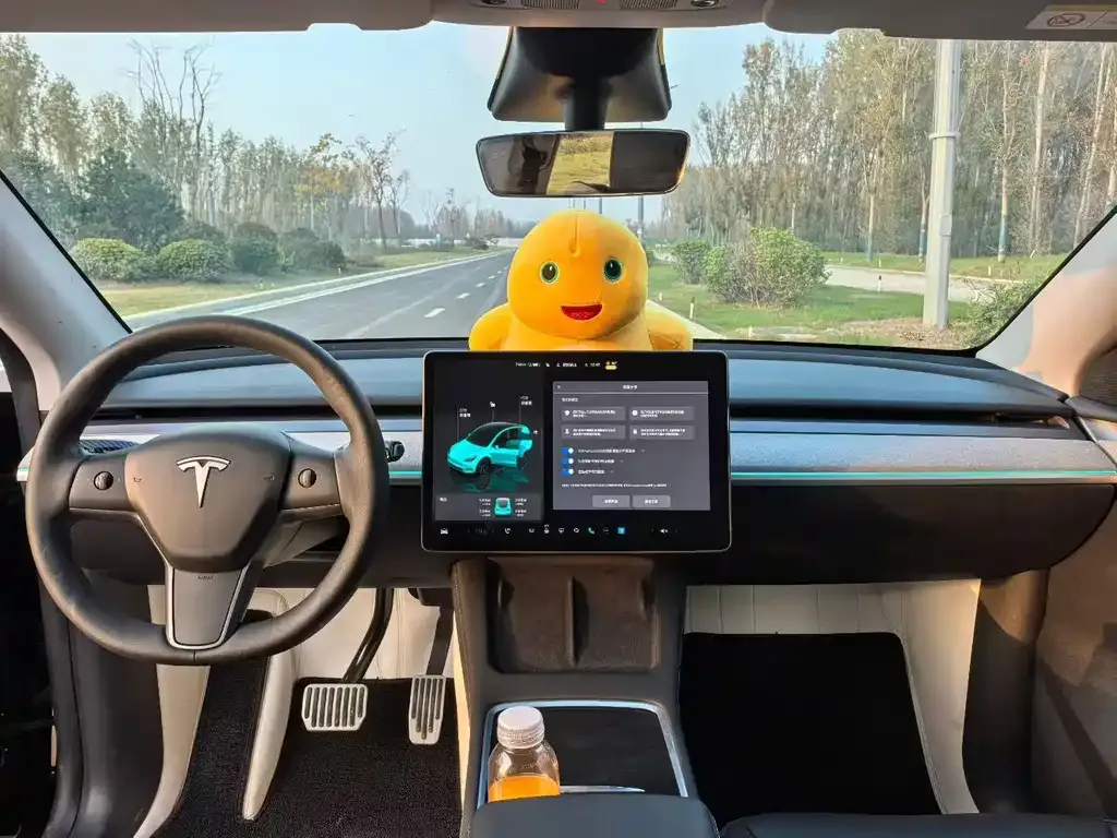 Tesla Model Y — фото 5