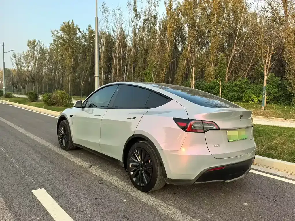 Tesla Model Y — фото 9