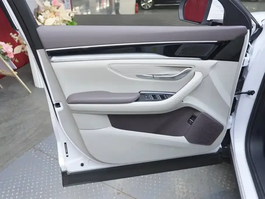 BYD PLUS New Energy 2025 из CN, фото 4