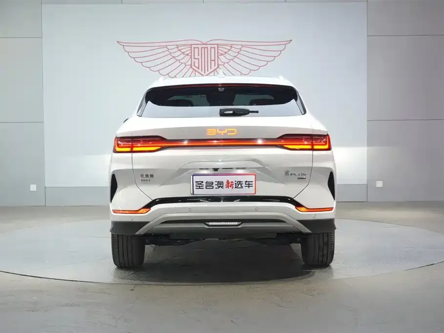 BYD PLUS New Energy 2025 из CN, фото 10