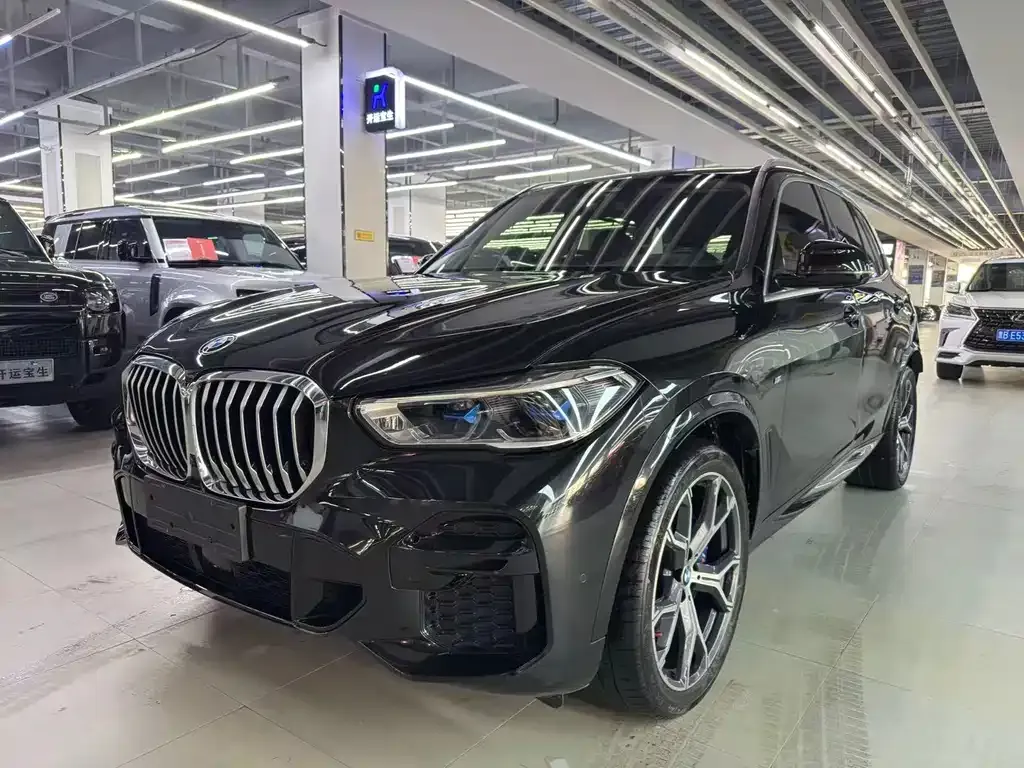 BMW X5 2022 из CN, фото 1