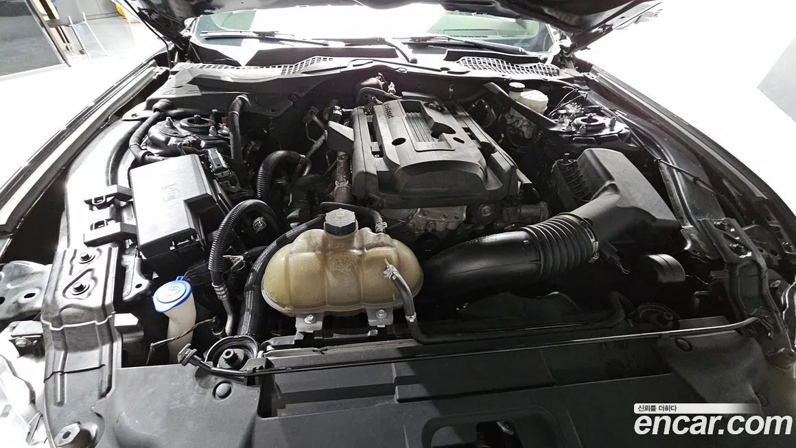 Ford Mustang 2021 из KR, фото 2