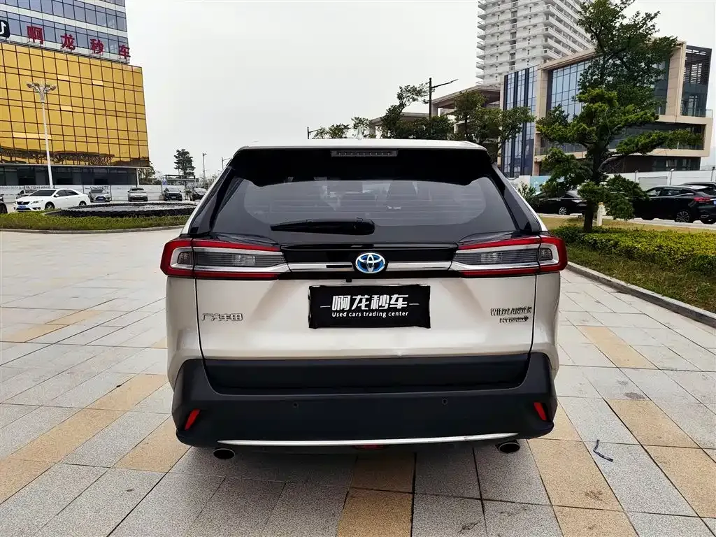 Toyota Wildlander 2022 из CN, фото 9