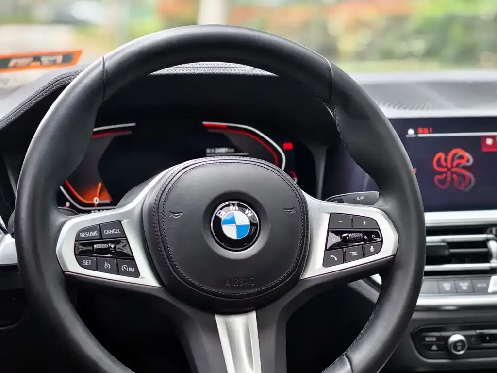 BMW 3 Series 2021 из CN, фото 4