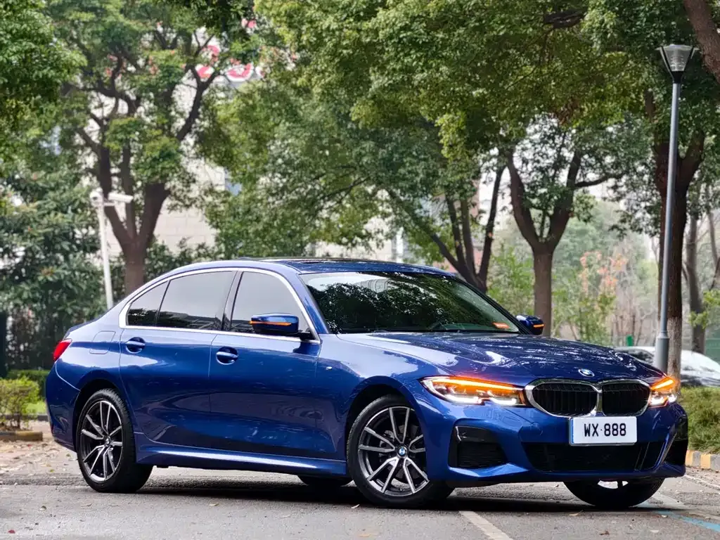 BMW 3 Series 2021 из CN, фото 10