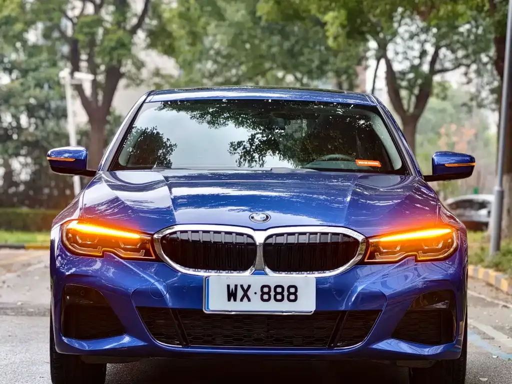 BMW 3 Series 2021 из CN, фото 5