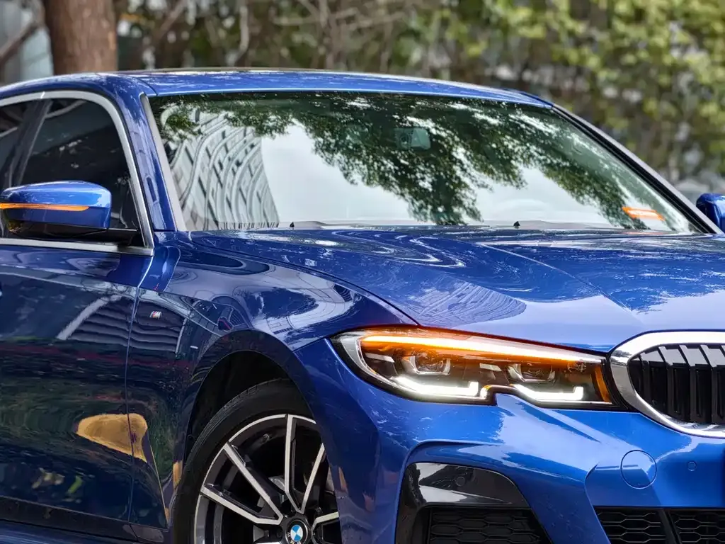 BMW 3 Series 2021 из CN, фото 9