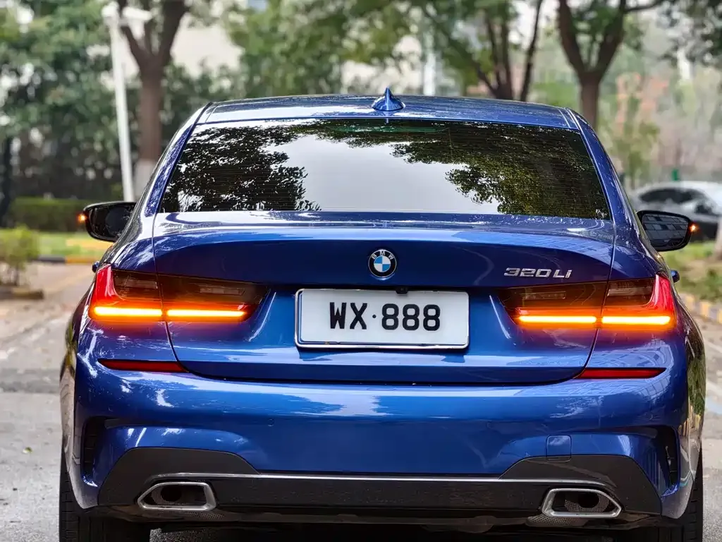 BMW 3 Series 2021 из CN, фото 8