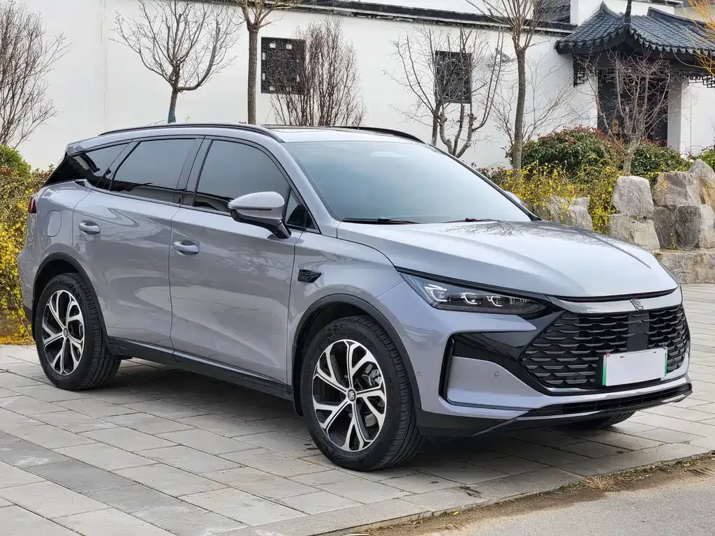 BYD Tang New Energy 2025 из CN, фото 1