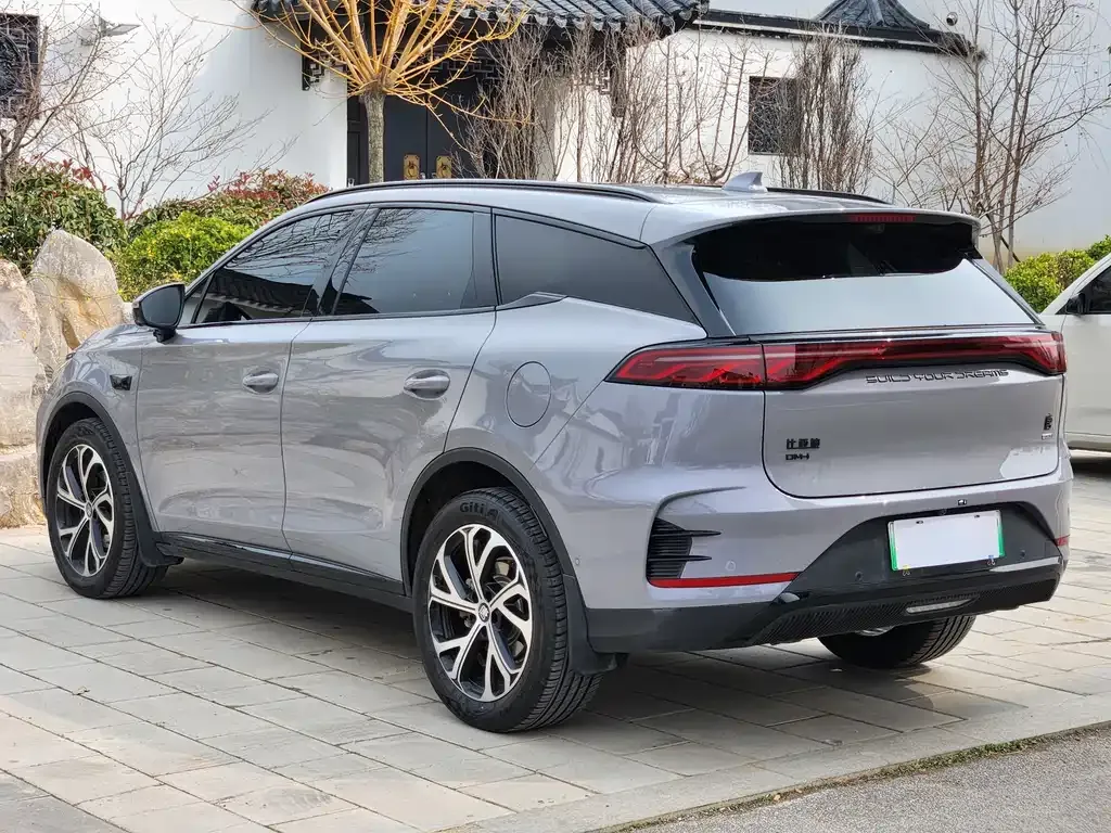 BYD Tang New Energy 2025 из CN, фото 6