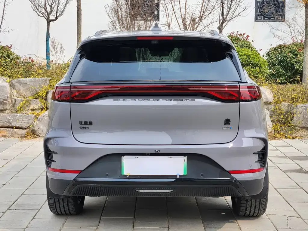 BYD Tang New Energy 2025 из CN, фото 10