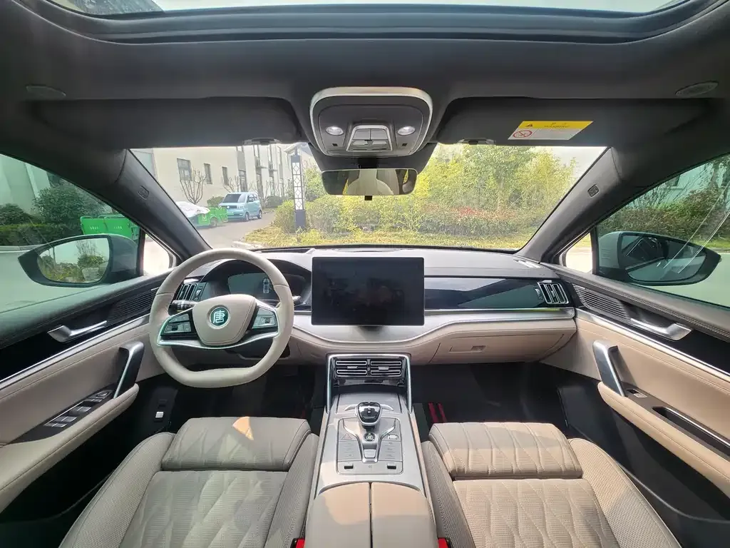 BYD Tang New Energy 2025 из CN, фото 9