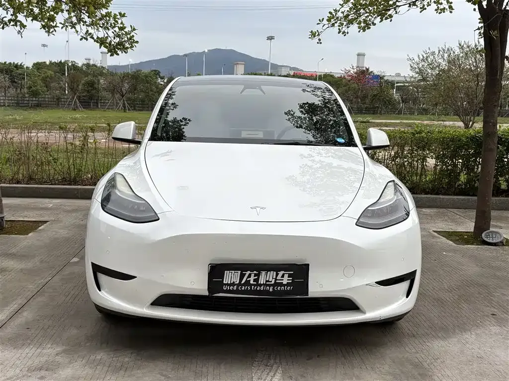 Tesla Model Y — фото 3