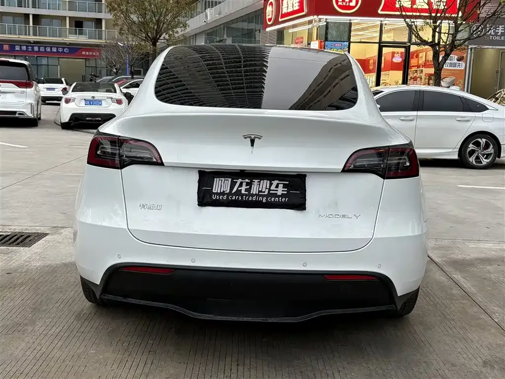 Tesla Model Y — фото 9