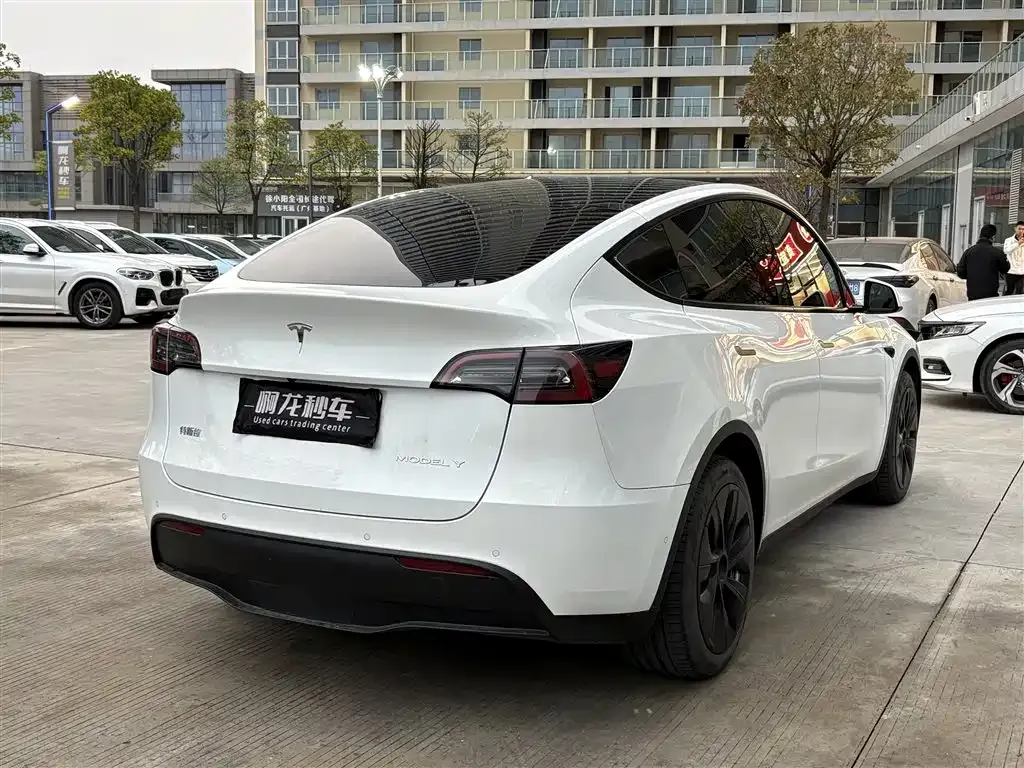 Tesla Model Y — фото 6