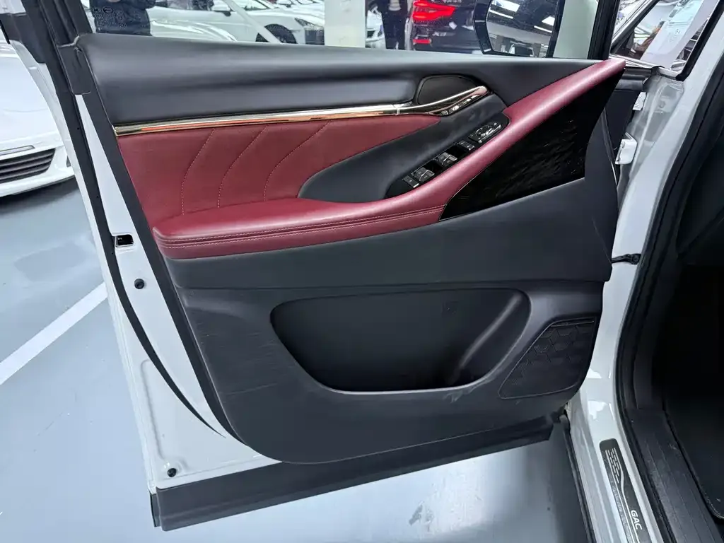 GAC Motor Trumpchi M8 2023 из CN, фото 10