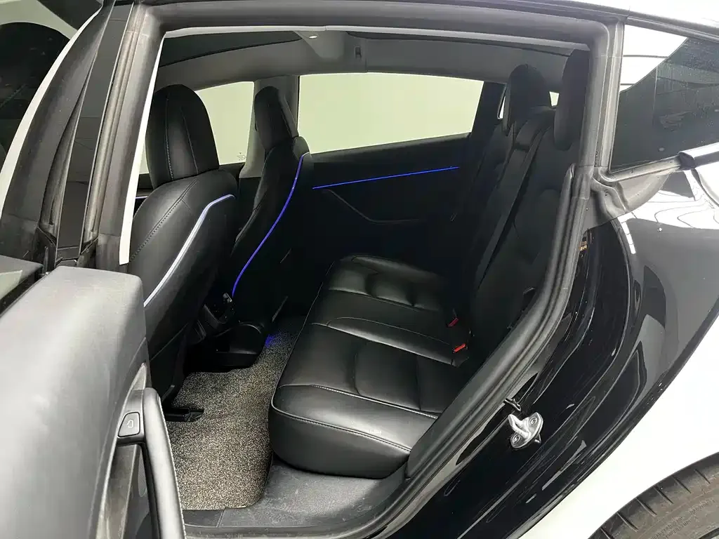 Tesla Model 3 2023 из CN, фото 9