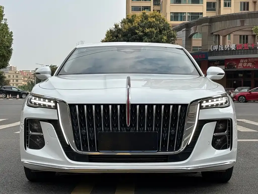 Hongqi H5 — фото 4