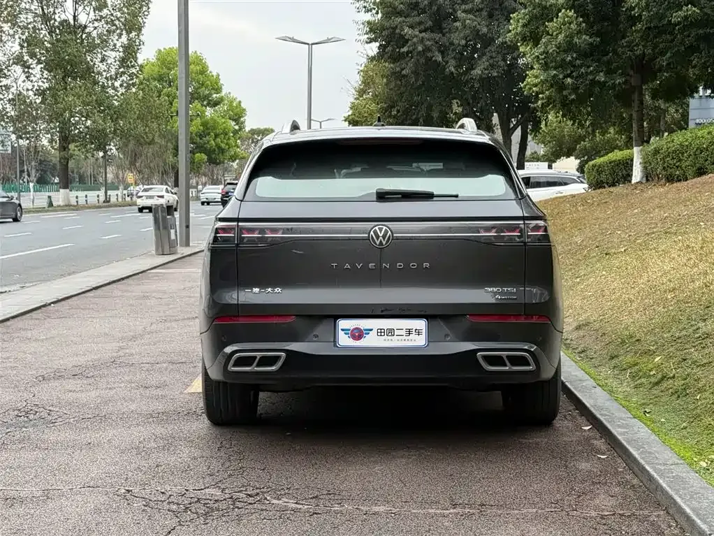 Volkswagen Tavendor 2023 из CN, фото 3