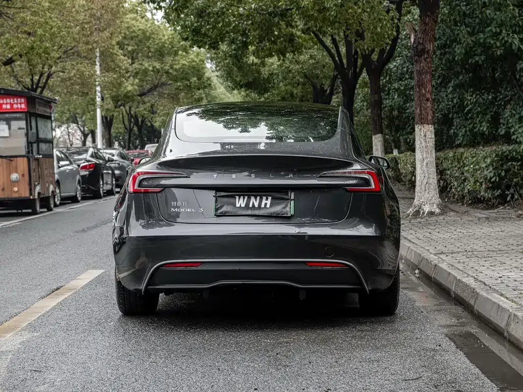 Tesla Model 3 2024 из CN, фото 9