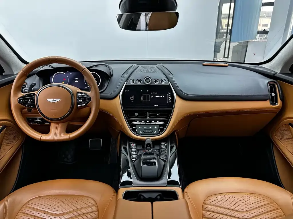 Aston Martin DBX 2021 из CN, фото 5