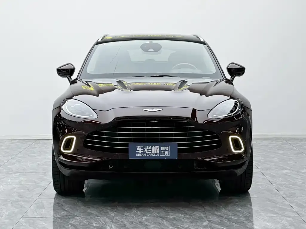 Aston Martin DBX 2021 из CN, фото 3