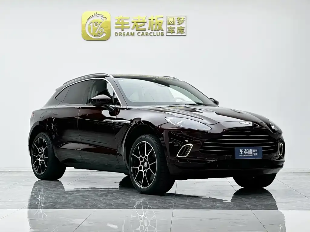 Aston Martin DBX 2021 из CN, фото 4