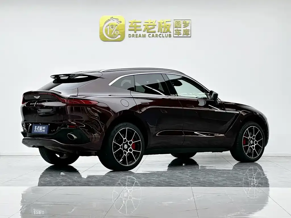 Aston Martin DBX 2021 из CN, фото 6
