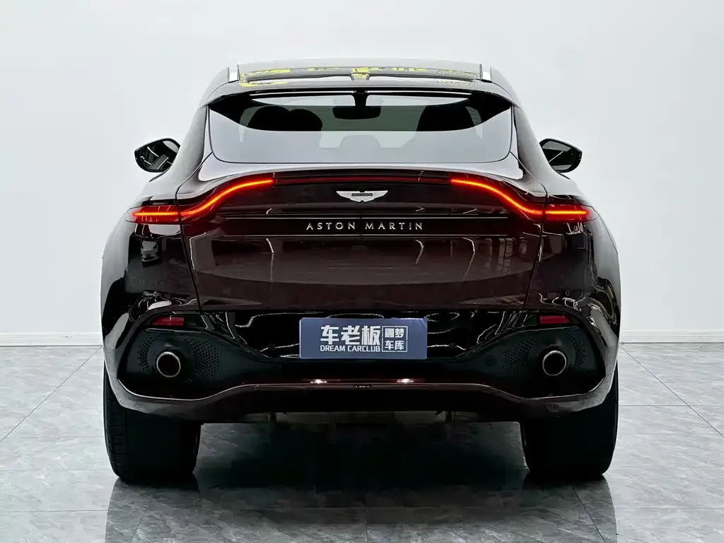 Aston Martin DBX 2021 из CN, фото 10