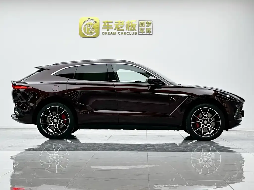 Aston Martin DBX 2021 из CN, фото 8
