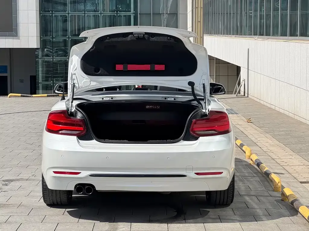 BMW 2 Series (Import) 2021 из CN, фото 7