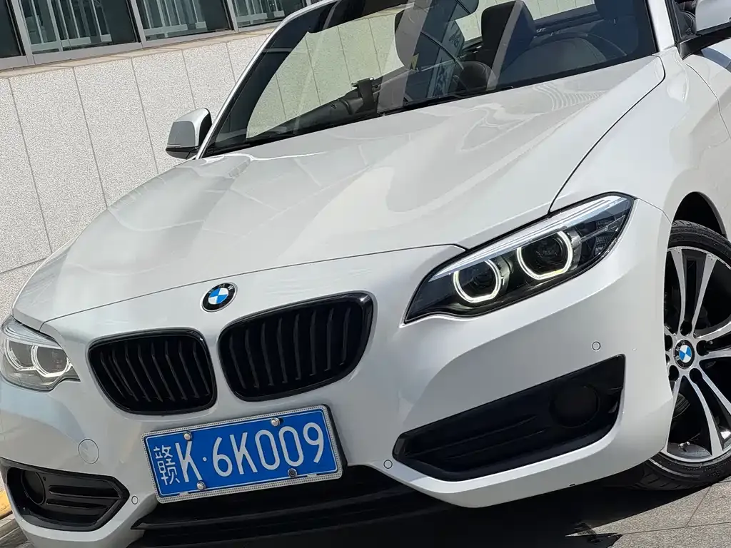 BMW 2 Series (Import) 2021 из CN, фото 6