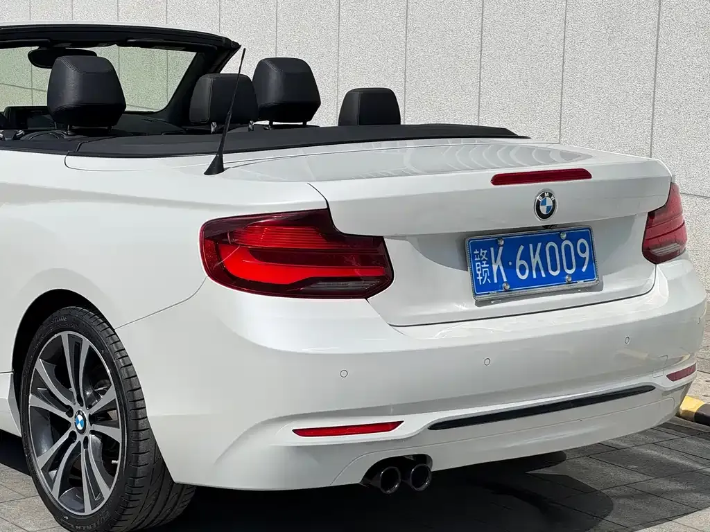 BMW 2 Series (Import) 2021 из CN, фото 9