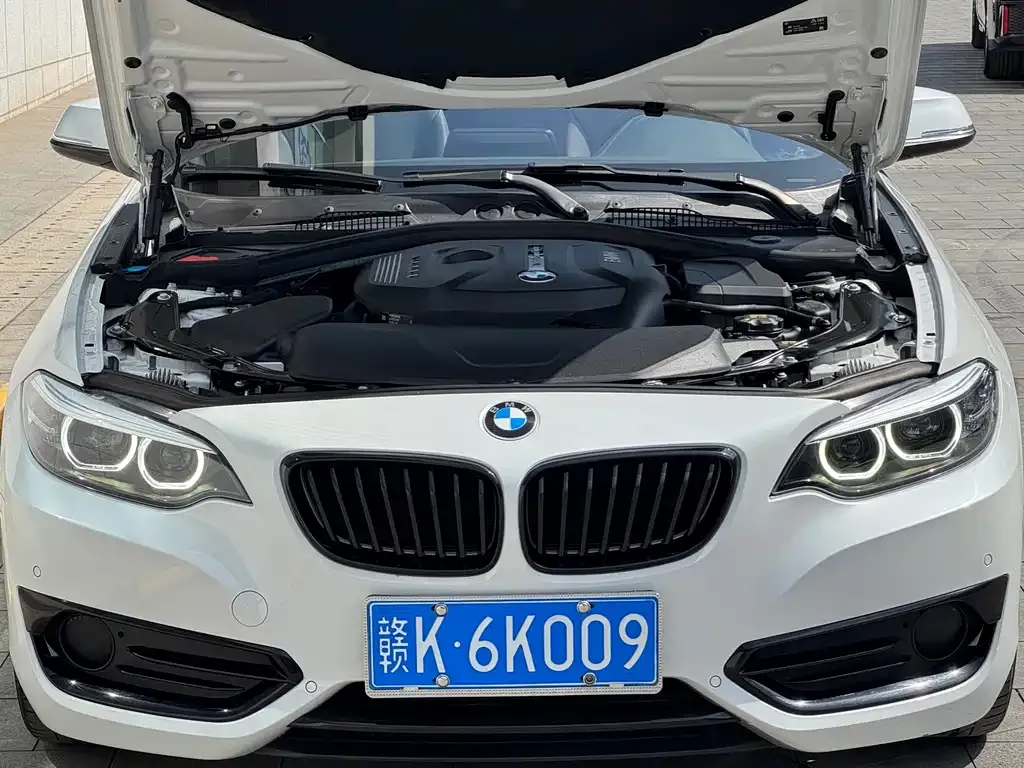 BMW 2 Series (Import) 2021 из CN, фото 10