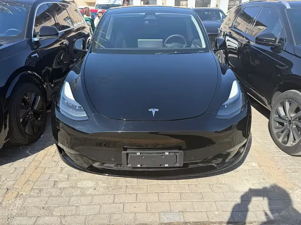 Tesla Model Y — фото 10