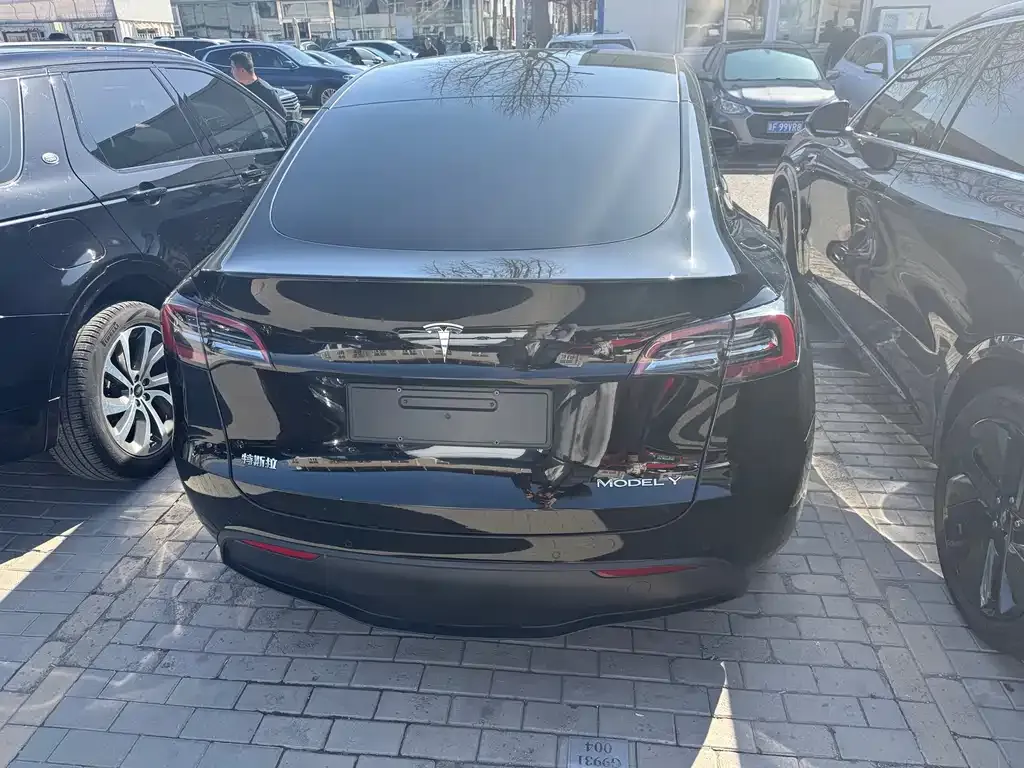 Tesla Model Y — фото 3