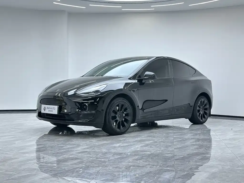 Tesla Model Y 2021 из CN, фото 1