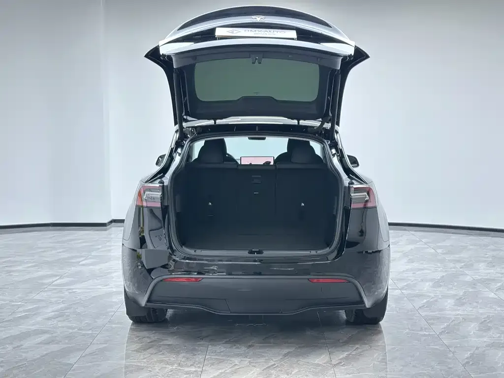 Tesla Model Y 2021 из CN, фото 4