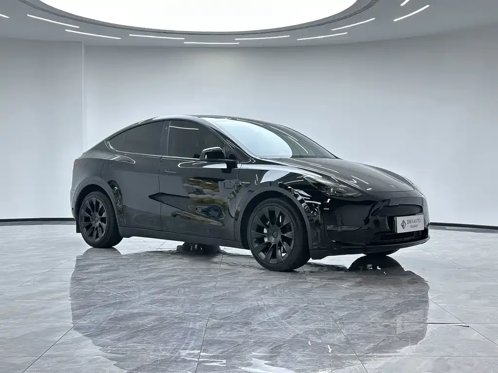 Tesla Model Y 2021 из CN, фото 7