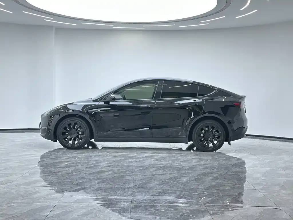 Tesla Model Y 2021 из CN, фото 8