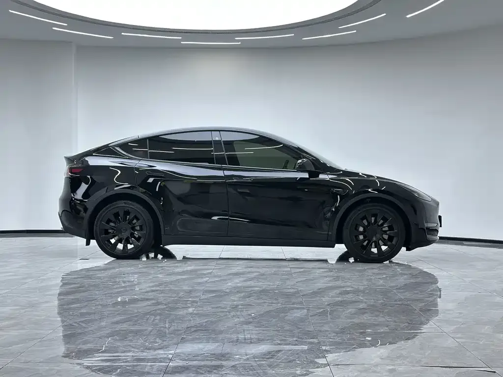 Tesla Model Y 2021 из CN, фото 5