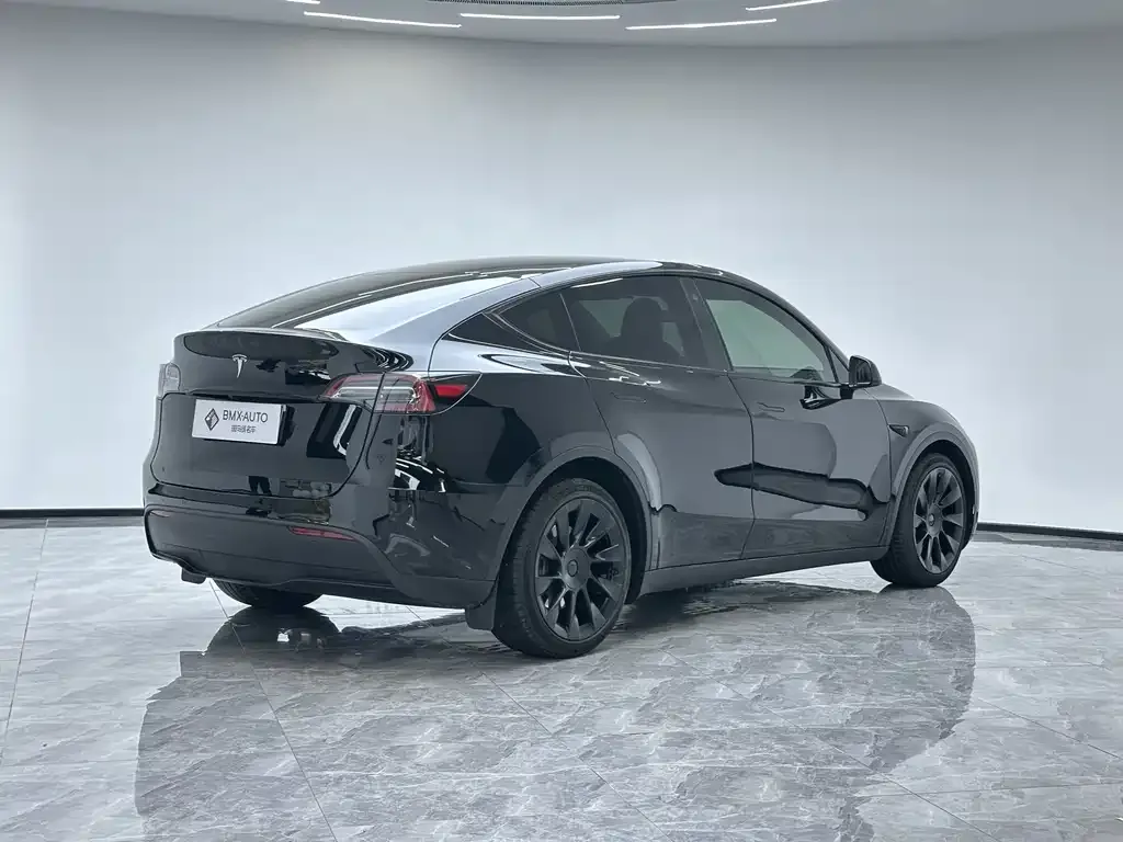 Tesla Model Y 2021 из CN, фото 6