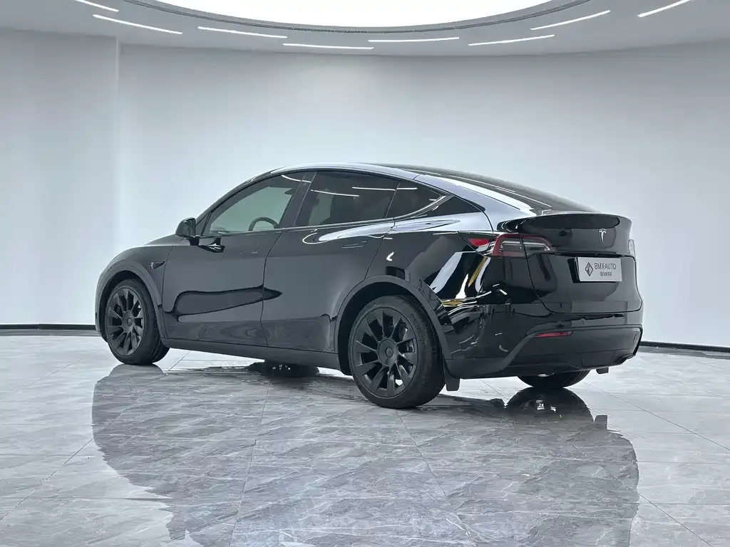 Tesla Model Y 2021 из CN, фото 10