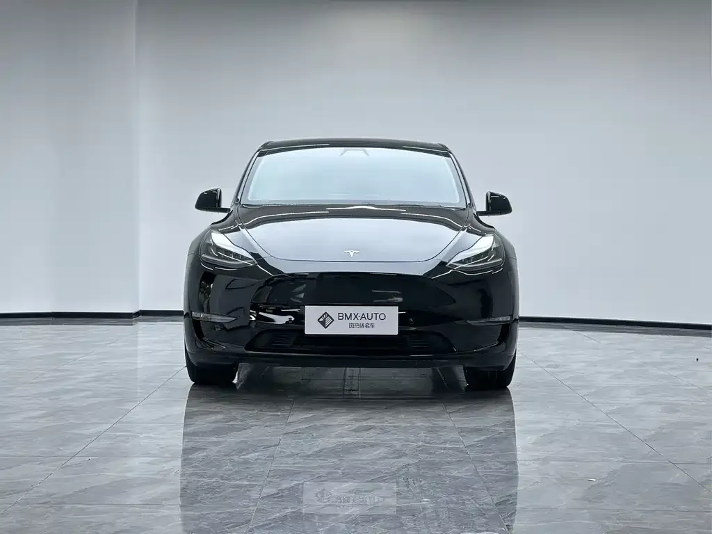 Tesla Model Y 2021 из CN, фото 3