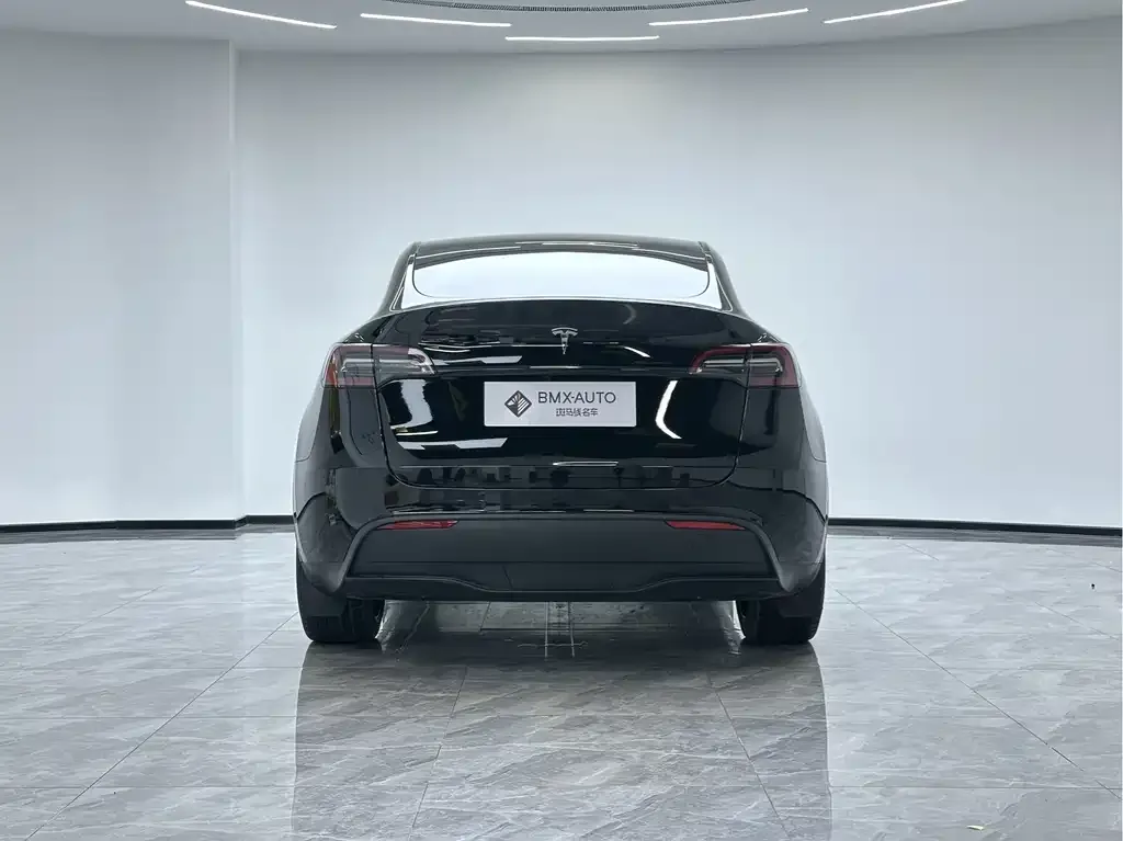 Tesla Model Y 2021 из CN, фото 2