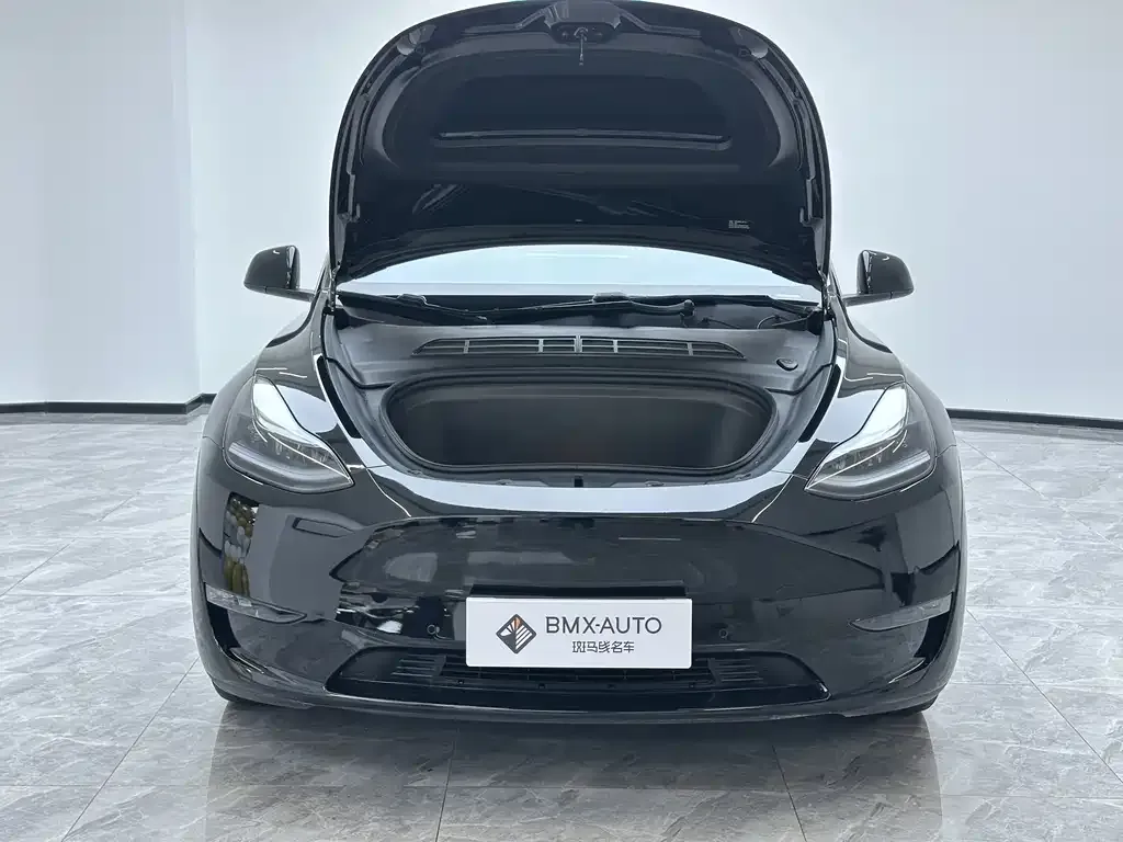 Tesla Model Y 2021 из CN, фото 9