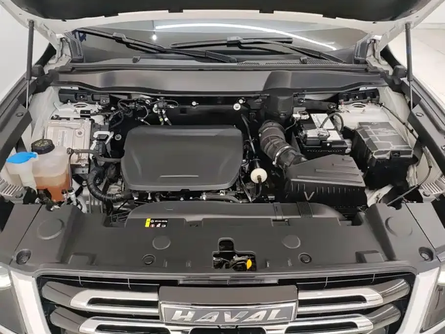Haval Big Dog 2023 из CN, фото 9